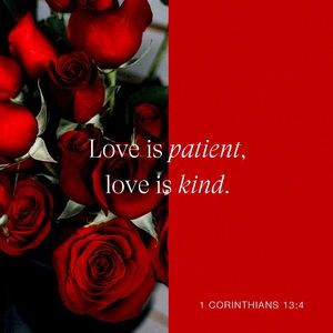 ❤️❤️❤️Love is....❤️❤️❤️